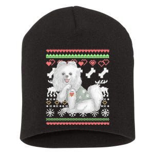 Pomeranian Dog Santa Claus Ugly Christmas Pattern Long Sleeve Short Acrylic Beanie