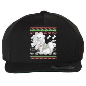 Pomeranian Dog Santa Claus Ugly Christmas Pattern Long Sleeve Wool Snapback Cap