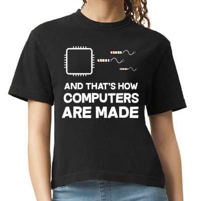 Programmer Developer Software Funny Computer Engineering Comfort Colors Boxy T-Shirt