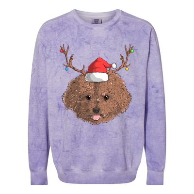 Poodle Dog Santa Claus Hat Christmas Xmas Holiday Reindeer Funny Gift Colorblast Crewneck Sweatshirt