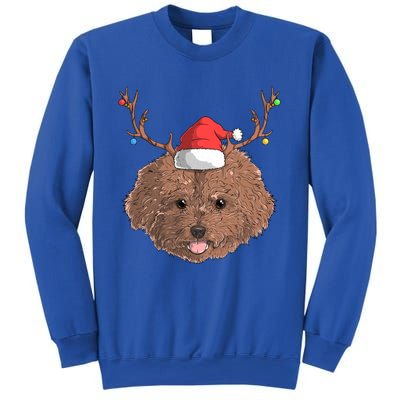 Poodle Dog Santa Claus Hat Christmas Xmas Holiday Reindeer Funny Gift Sweatshirt