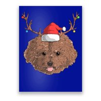 Poodle Dog Santa Claus Hat Christmas Xmas Holiday Reindeer Funny Gift Poster