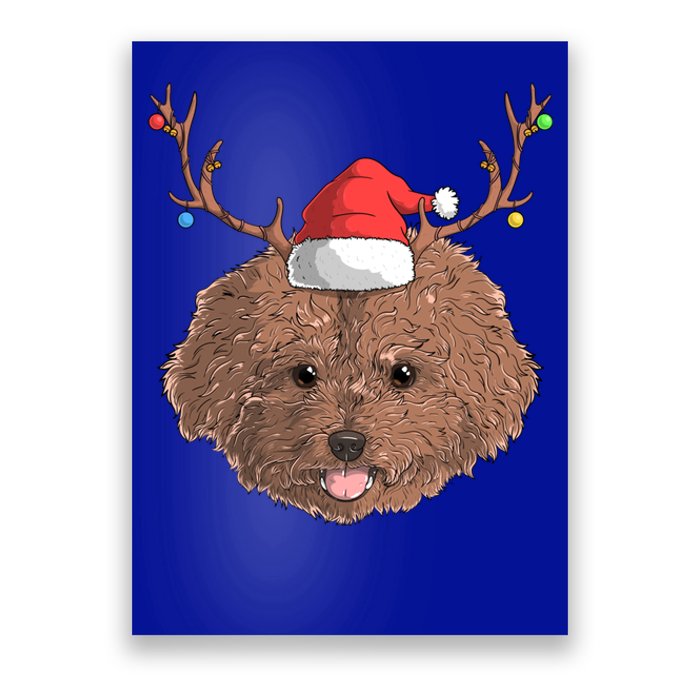 Poodle Dog Santa Claus Hat Christmas Xmas Holiday Reindeer Funny Gift Poster