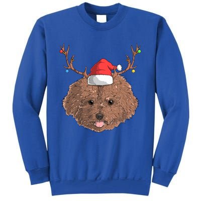 Poodle Dog Santa Claus Hat Christmas Xmas Holiday Reindeer Funny Gift Tall Sweatshirt