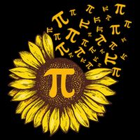 Pi Day Sunflower Floral Flower Toddler Hoodie