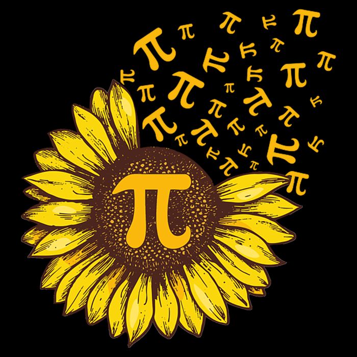 Pi Day Sunflower Floral Flower Toddler Hoodie