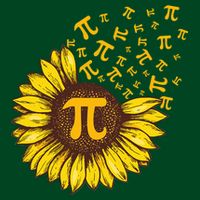 Pi Day Sunflower Floral Flower Poster