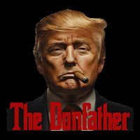 President Donald Trump The Don Father Funny Sweatshirt