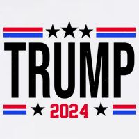 Pro Donald Trump 2024 Usa Election Sweatshirt