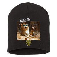 Princess Donut - This Is An Outrage! Short Acrylic Beanie