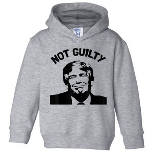 President Donald Trump Mugshot 2024 Not Guilty Supporter Toddler Hoodie