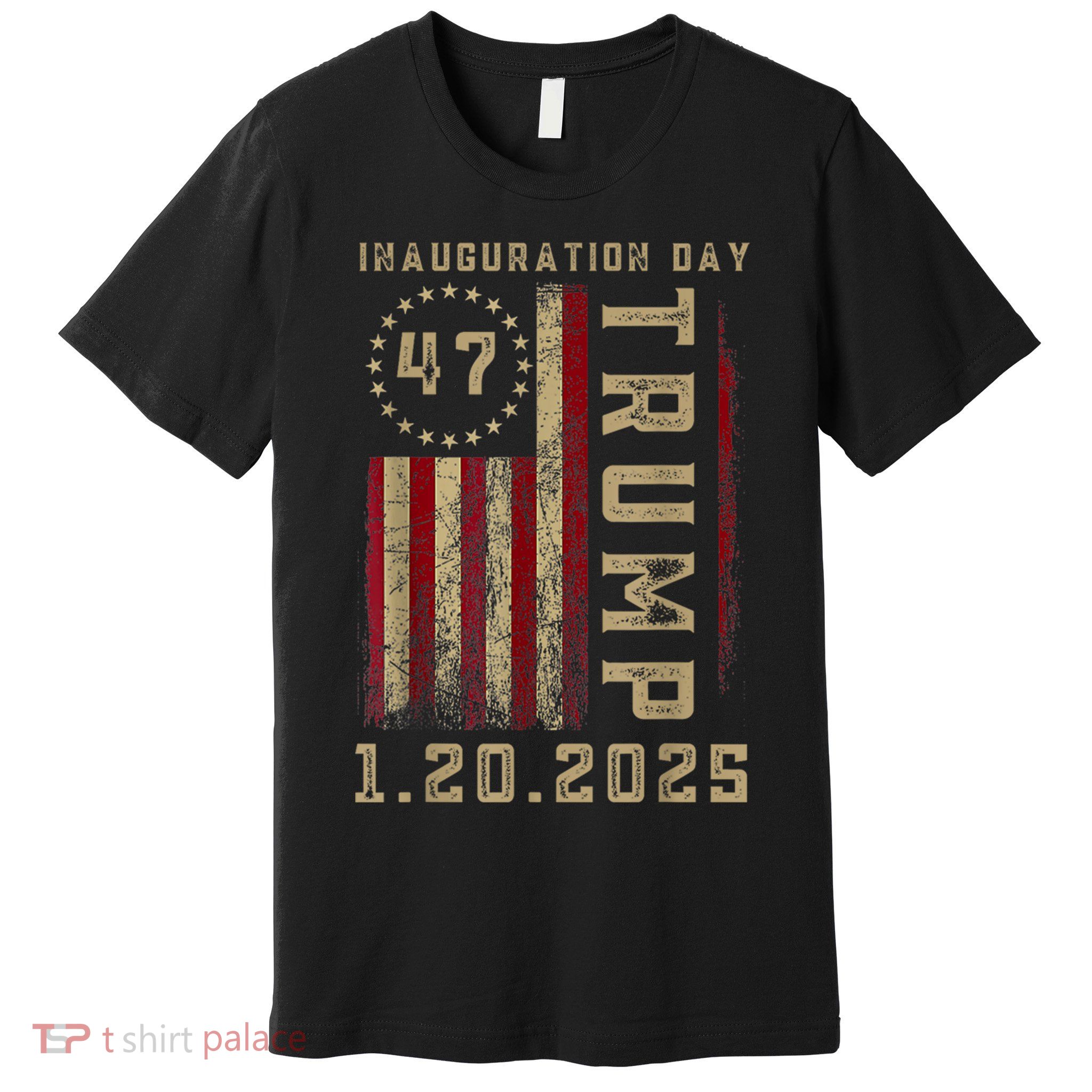President Donald Trump Inauguration Day 2025 Memorabilia Premium T-Shirt