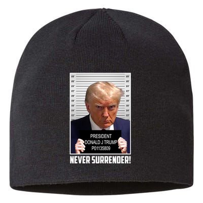 President Donald Trump Mugshot Never Surrender Sustainable Beanie