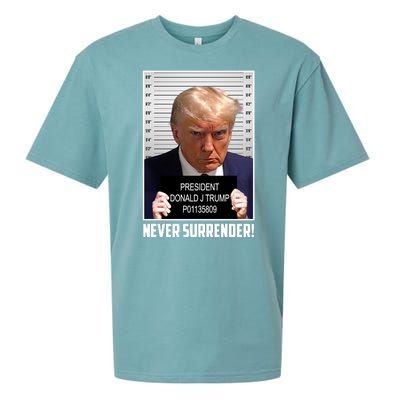 President Donald Trump Mugshot Never Surrender Sueded Cloud Jersey T-Shirt