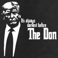 President Donald Trump The Don Funny Political 2024 7 Panel Mesh Trucker Snapback Hat