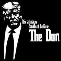 President Donald Trump The Don Funny Political 2024 Flat Bill Trucker Hat