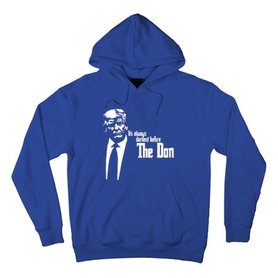 President Donald Trump The Don Funny Political 2024 Hoodie