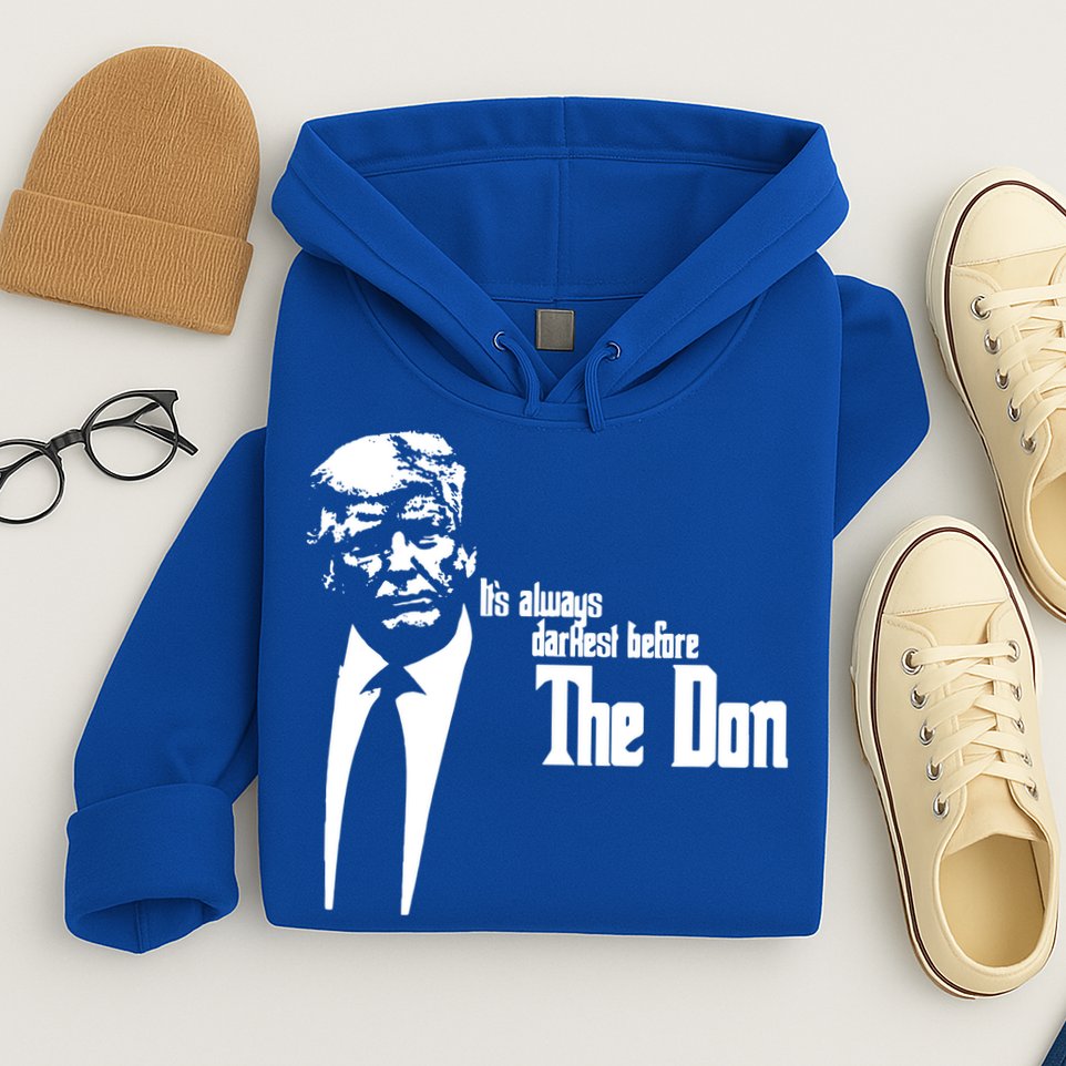 President Donald Trump The Don Funny Political 2024 Hoodie