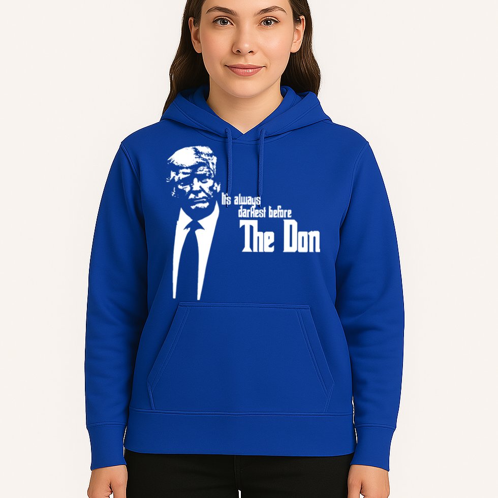 President Donald Trump The Don Funny Political 2024 Hoodie