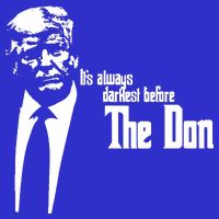 President Donald Trump The Don Funny Political 2024 Poster