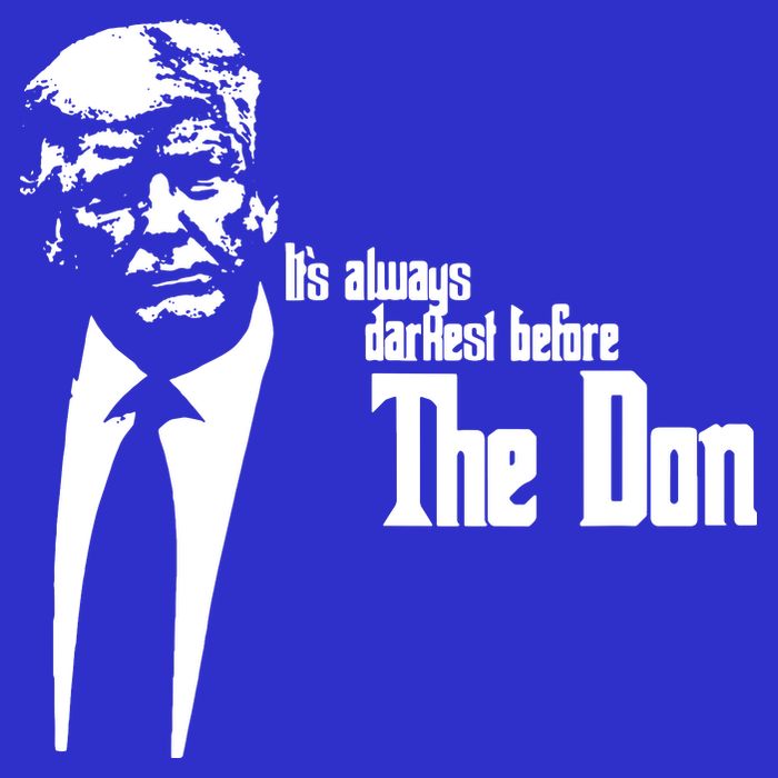 President Donald Trump The Don Funny Political 2024 Poster