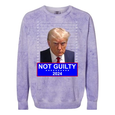 President Donald Trump Mugshot 2024 Not Guilty Colorblast Crewneck Sweatshirt