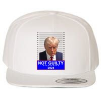 President Donald Trump Mugshot 2024 Not Guilty Wool Snapback Cap