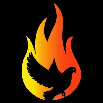 Pentecost Doves Tongues Fire Flame Holy Spirit Catholic T-Shirt
