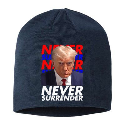 President Donald Trump 2024 Never Surrender Fingerprint USA Sustainable Beanie