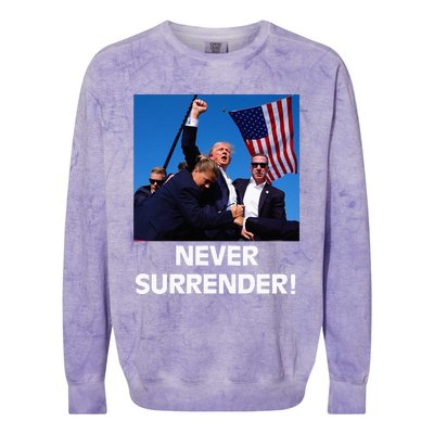 President Donald Trump “The Don” 2024 Colorblast Crewneck Sweatshirt