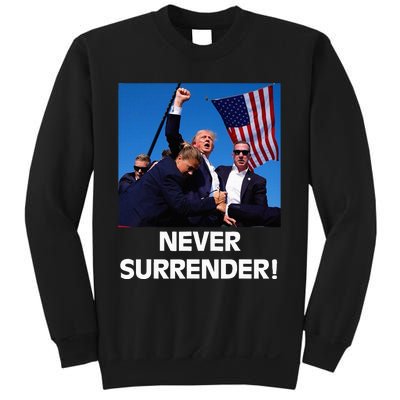 President Donald Trump “The Don” 2024 Sweatshirt