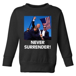 President Donald Trump “The Don” 2024 Toddler Sweatshirt