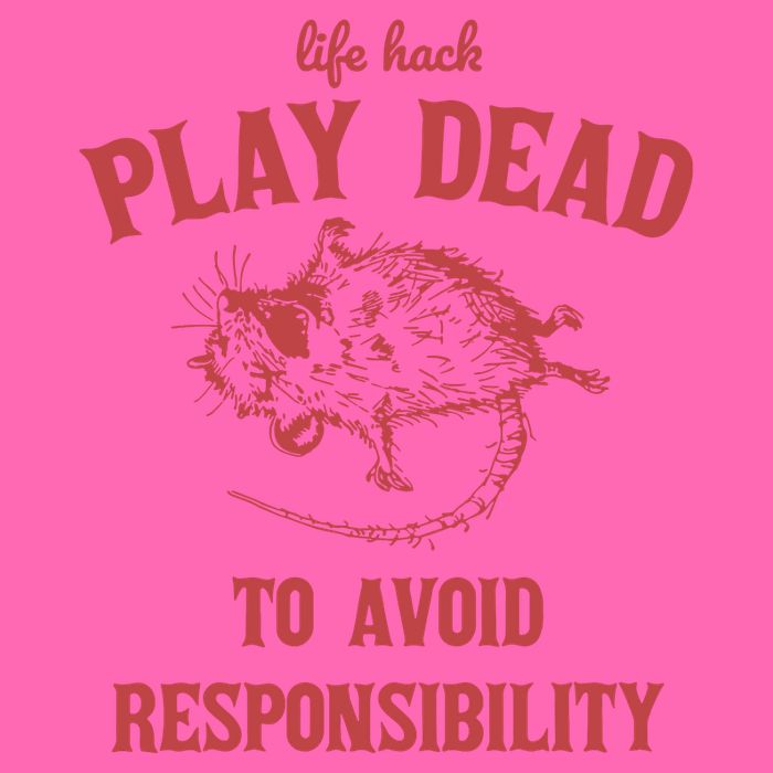 Play Dead To Avoid Responsibility Retro Stripe Pom Pom Beanie