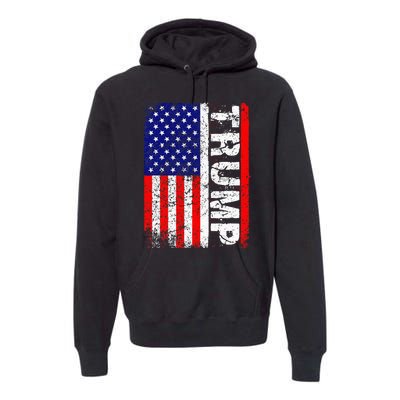 President Donald Trump Chillin Like A Felon Summer 2024 Premium Hoodie