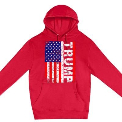 President Donald Trump Chillin Like A Felon Summer 2024 Premium Pullover Hoodie