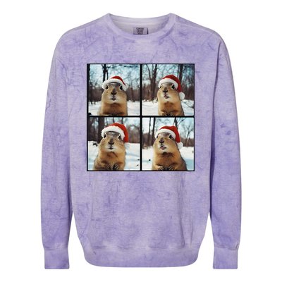 Prairie Dog Winter Christmas Sleep Colorblast Crewneck Sweatshirt