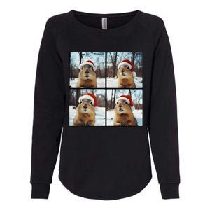 Prairie Dog Winter Christmas Sleep Womens California Wash Sweatshirt