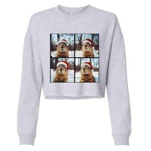 Prairie Dog Winter Christmas Sleep Cropped Pullover Crew