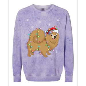 Pomeranian Dog Xmas Lighting Santa Pomeranian Christmas Gift Colorblast Crewneck Sweatshirt