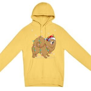 Pomeranian Dog Xmas Lighting Santa Pomeranian Christmas Gift Premium Pullover Hoodie