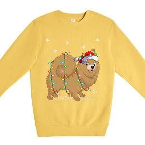 Pomeranian Dog Xmas Lighting Santa Pomeranian Christmas Gift Premium Crewneck Sweatshirt