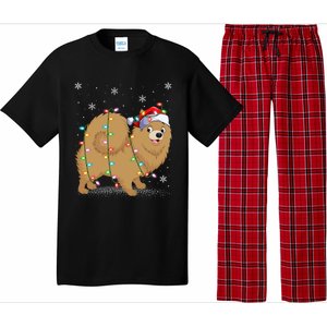 Pomeranian Dog Xmas Lighting Santa Pomeranian Christmas Gift Pajama Set