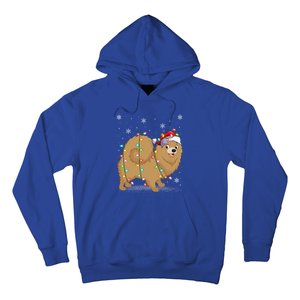 Pomeranian Dog Xmas Lighting Santa Pomeranian Christmas Gift Hoodie