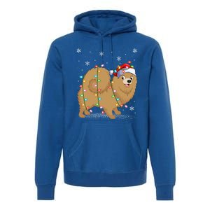 Pomeranian Dog Xmas Lighting Santa Pomeranian Christmas Gift Premium Hoodie