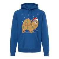 Pomeranian Dog Xmas Lighting Santa Pomeranian Christmas Gift Premium Hoodie