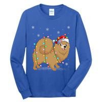 Pomeranian Dog Xmas Lighting Santa Pomeranian Christmas Gift Tall Long Sleeve T-Shirt