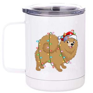 Pomeranian Dog Xmas Lighting Santa Pomeranian Christmas Gift 12 oz Stainless Steel Tumbler Cup