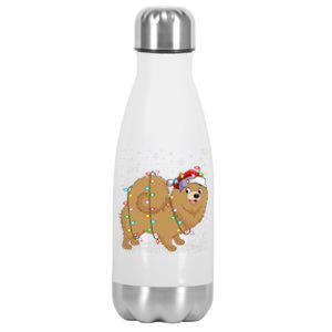 Pomeranian Dog Xmas Lighting Santa Pomeranian Christmas Gift Stainless Steel Insulated Water Bottle