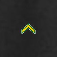 Private E 2 Mlitary Badge Premium Pullover Hoodie