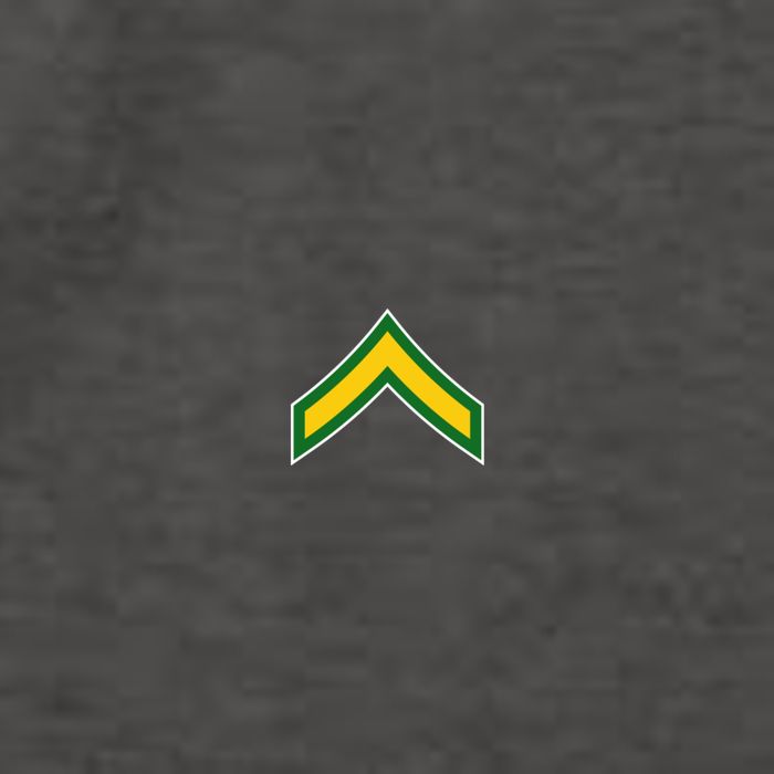 Private E 2 Mlitary Badge Vector Backpack